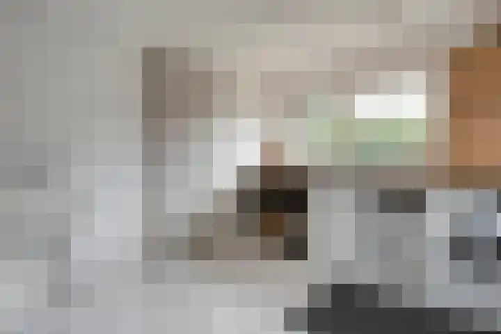 De Hilde 20 Nijeveen thumbnail 14