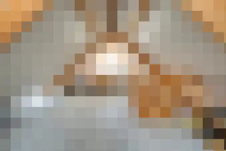 De Hilde 20 Nijeveen thumbnail 30