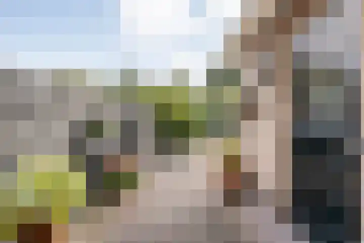 De Hilde 20 Nijeveen thumbnail 32