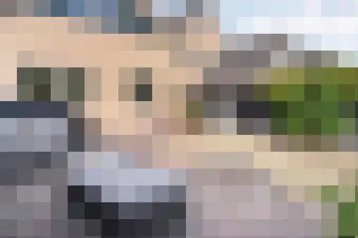 De Hilde 20 Nijeveen thumbnail 35