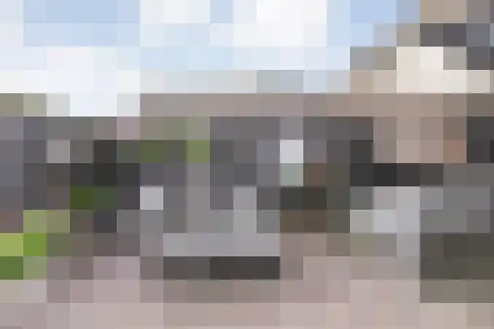 De Hilde 20 Nijeveen thumbnail 36