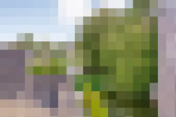 De Hilde 20 Nijeveen thumbnail 37