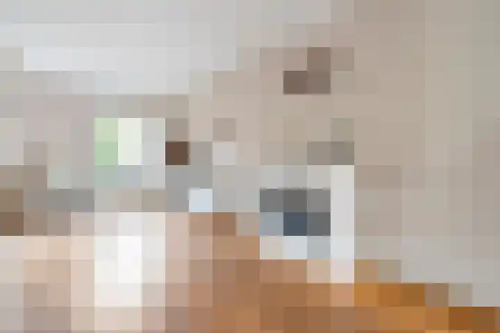 De Hilde 20 Nijeveen thumbnail 5