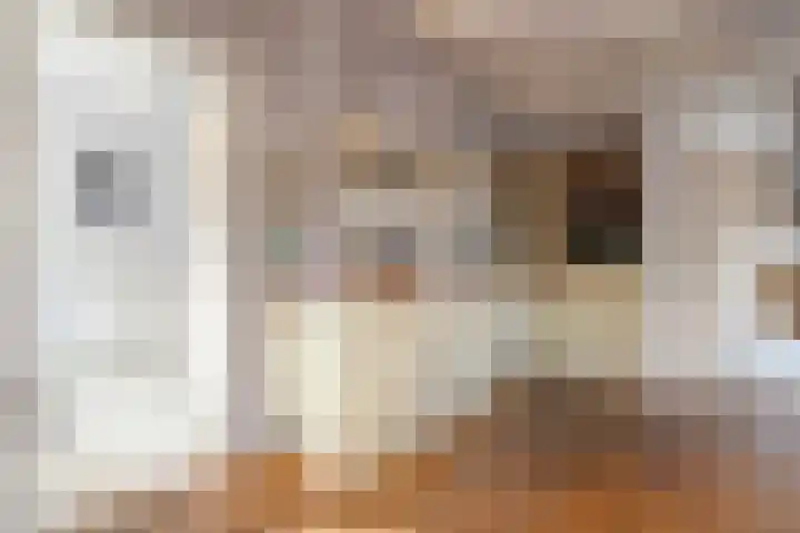 De Hilde 20 Nijeveen thumbnail 9