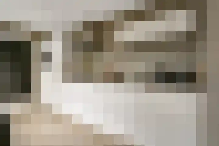 De Hilde 24 Nijeveen thumbnail 13
