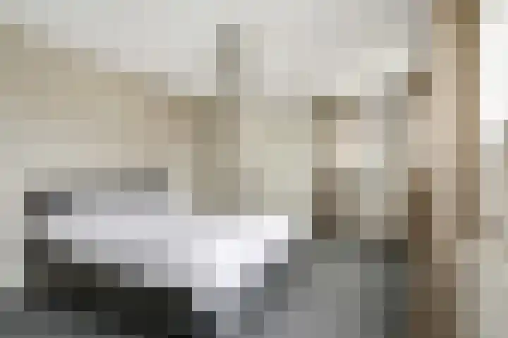 De Hilde 24 Nijeveen thumbnail 19
