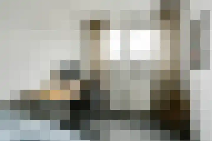 De Hilde 24 Nijeveen thumbnail 21