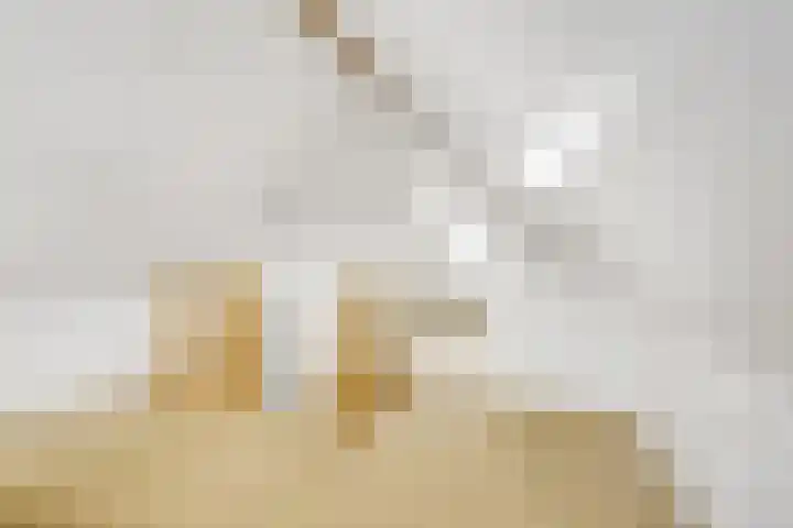 De Hilde 24 Nijeveen thumbnail 26
