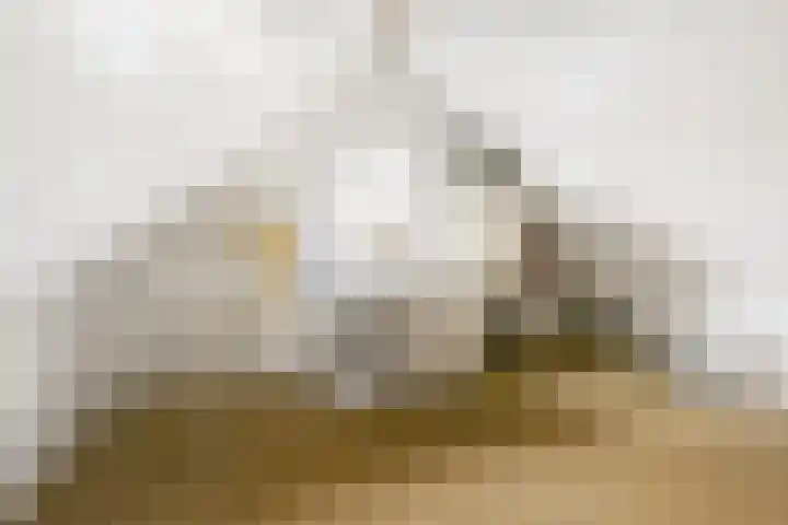 De Hilde 24 Nijeveen thumbnail 27