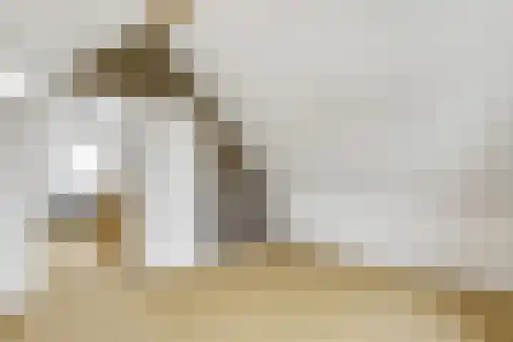 De Hilde 24 Nijeveen thumbnail 28