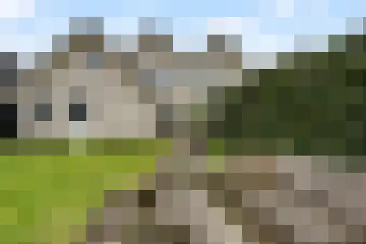 De Hilde 24 Nijeveen thumbnail 32