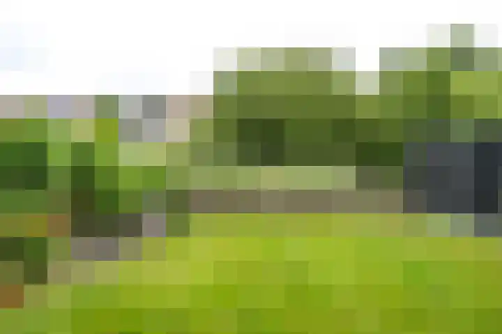 De Hilde 24 Nijeveen thumbnail 33