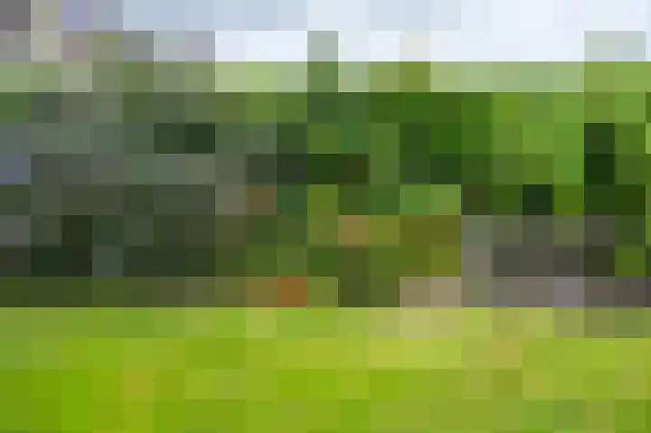 De Hilde 24 Nijeveen thumbnail 34