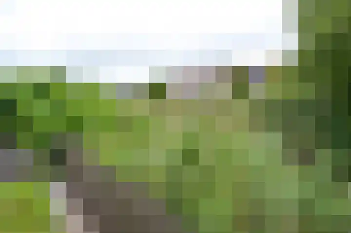 De Hilde 24 Nijeveen thumbnail 35