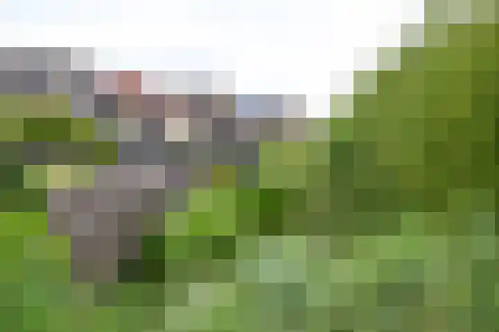 De Hilde 24 Nijeveen thumbnail 36