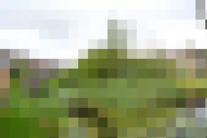 De Hilde 24 Nijeveen thumbnail 37