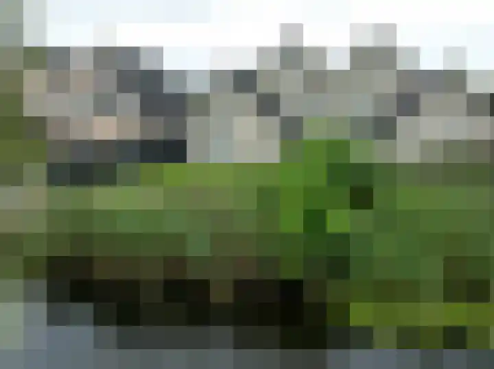 De Hilde 24 Nijeveen thumbnail 38
