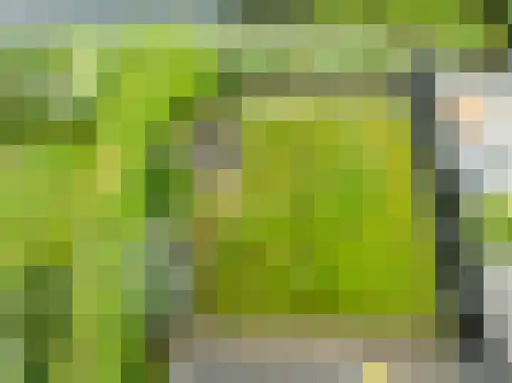 De Hilde 24 Nijeveen thumbnail 39
