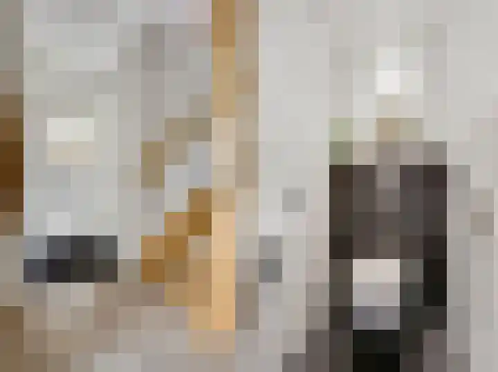 De Hilde 24 Nijeveen thumbnail 4
