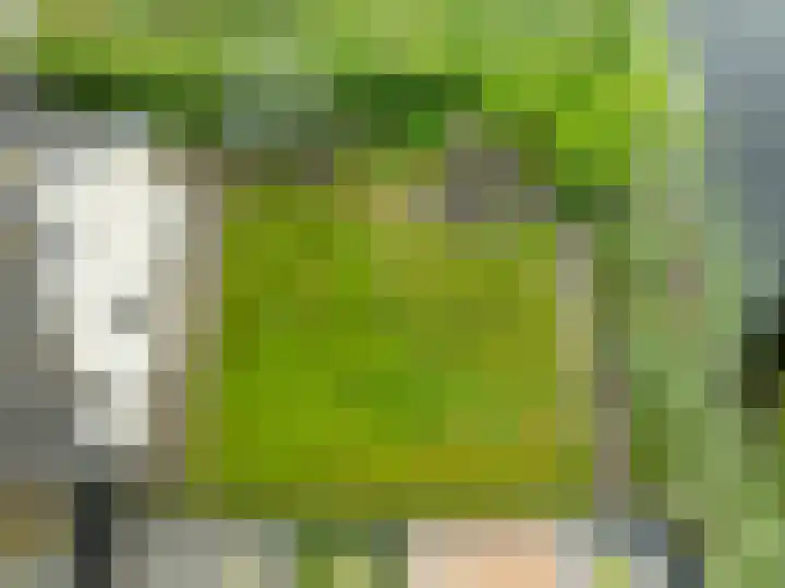 De Hilde 24 Nijeveen thumbnail 40