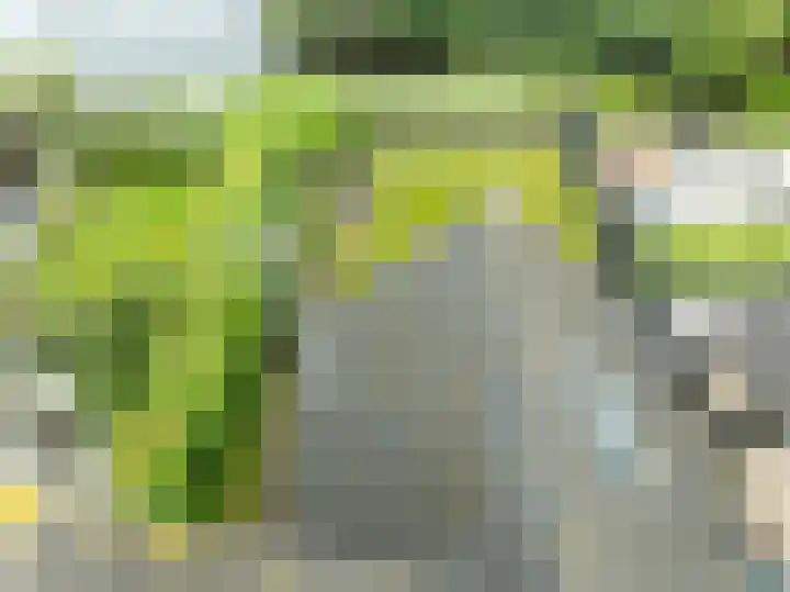 De Hilde 24 Nijeveen thumbnail 41