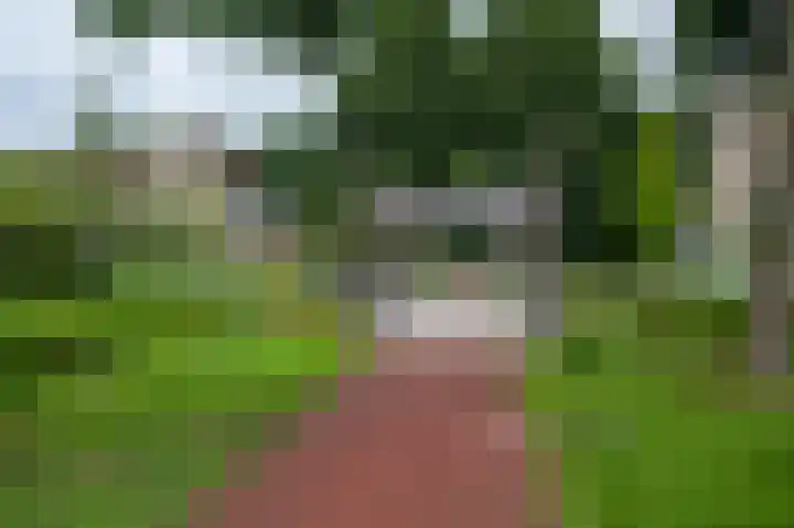 De Hilde 24 Nijeveen thumbnail 44