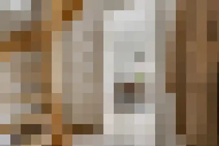 De Hilde 24 Nijeveen thumbnail 5