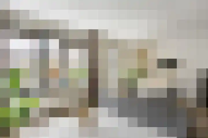 De Hilde 24 Nijeveen thumbnail 7