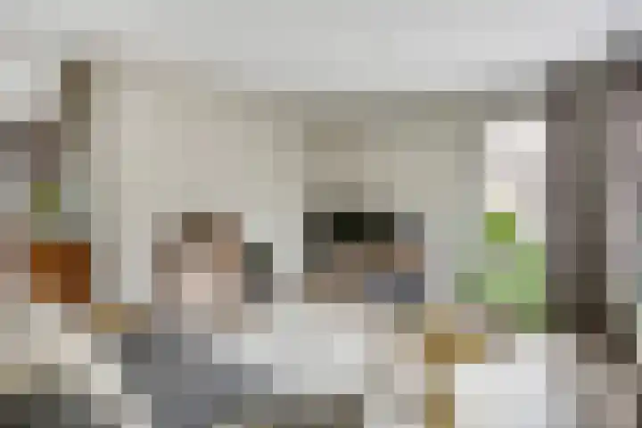 De Hilde 24 Nijeveen thumbnail 9