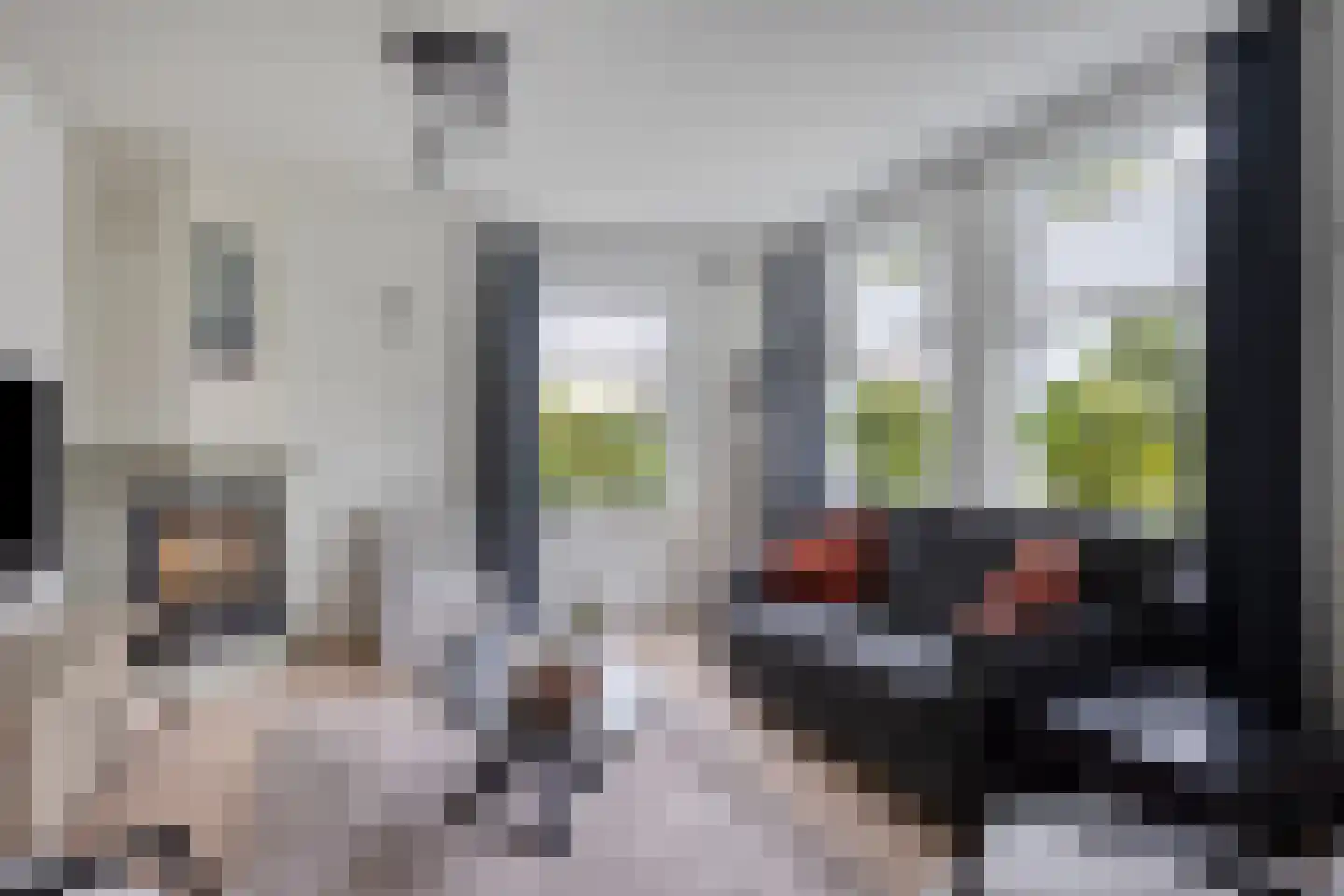 De Hilde 27 Nijeveen thumbnail 10