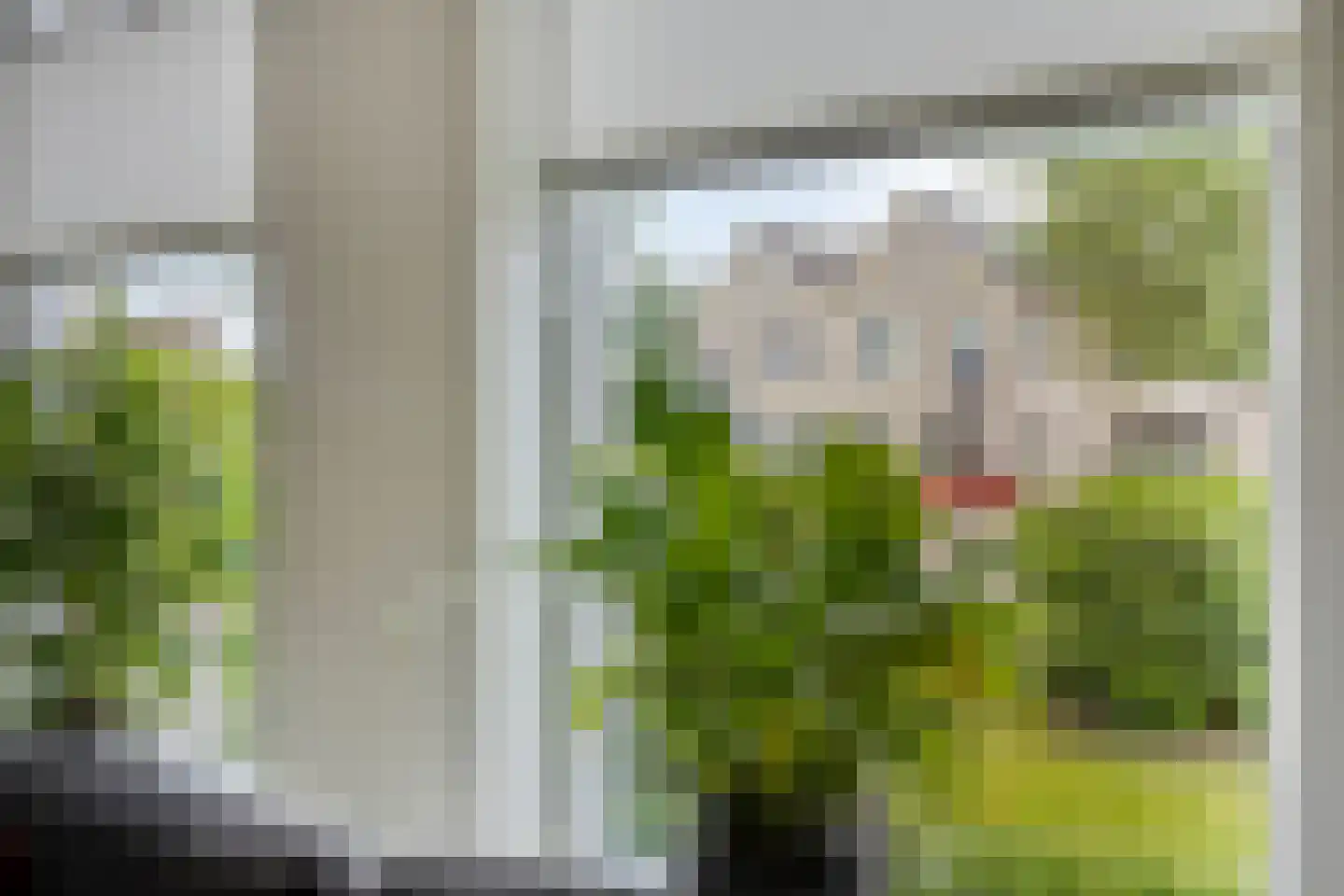 De Hilde 27 Nijeveen thumbnail 12