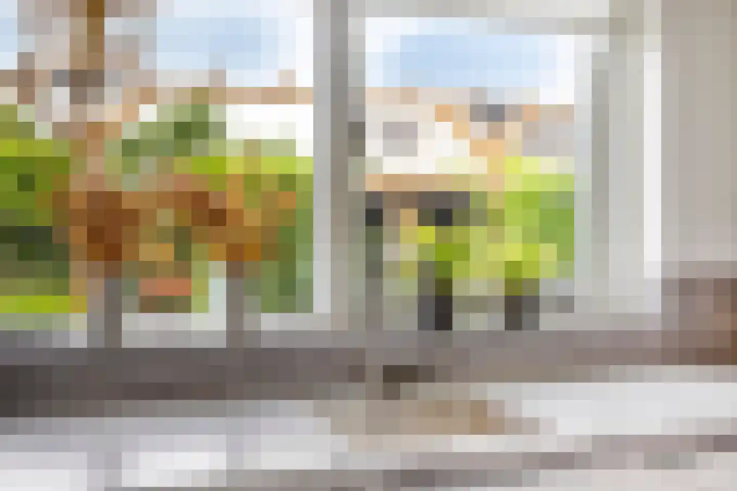 De Hilde 27 Nijeveen thumbnail 21