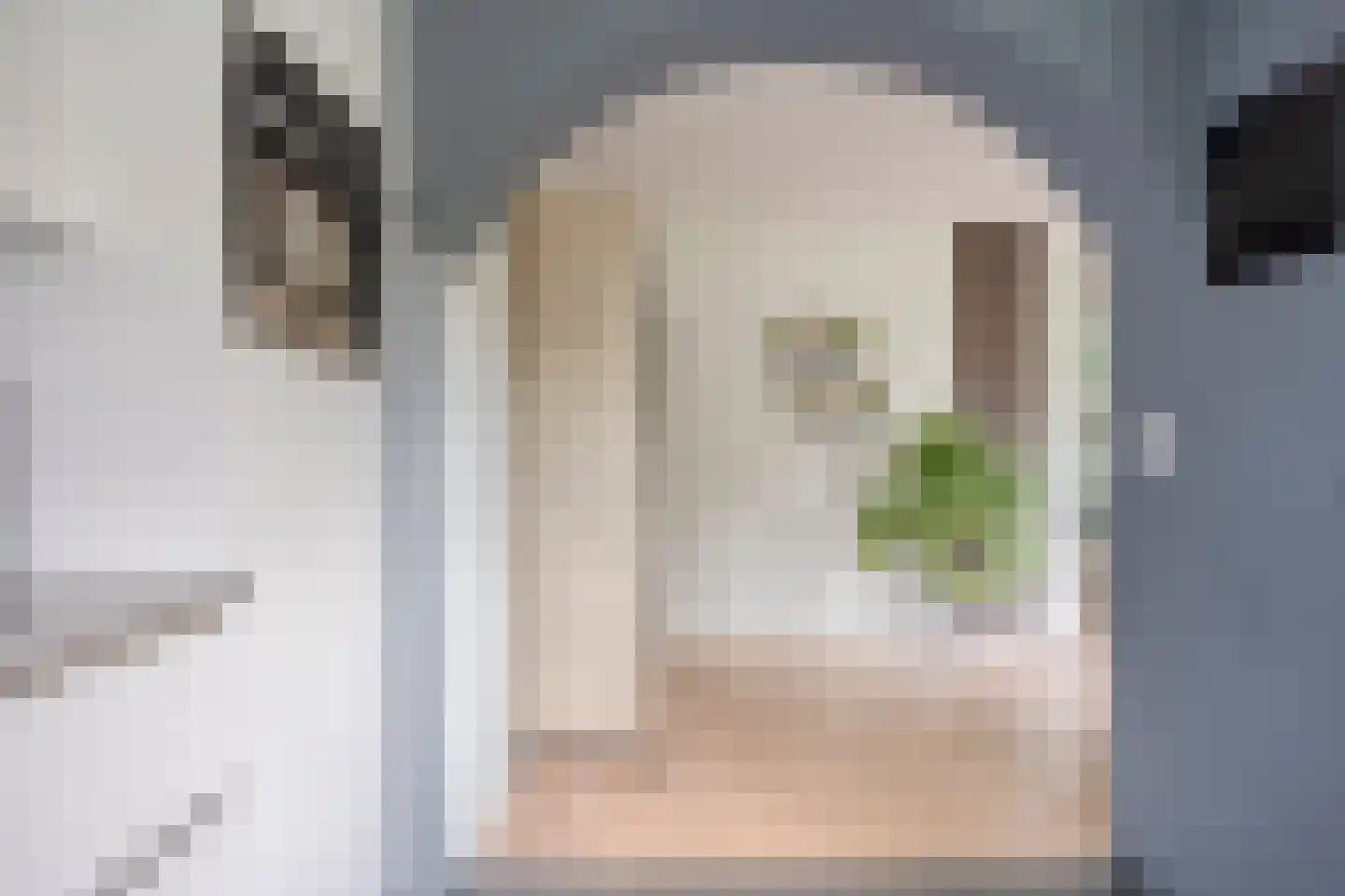 De Hilde 27 Nijeveen thumbnail 22