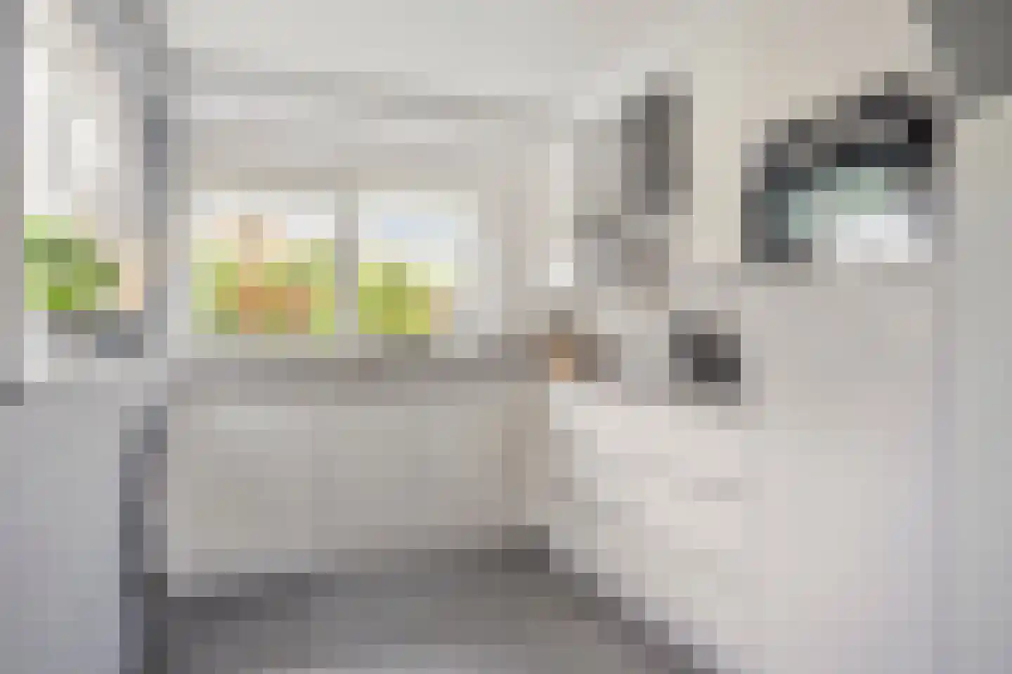 De Hilde 27 Nijeveen thumbnail 23
