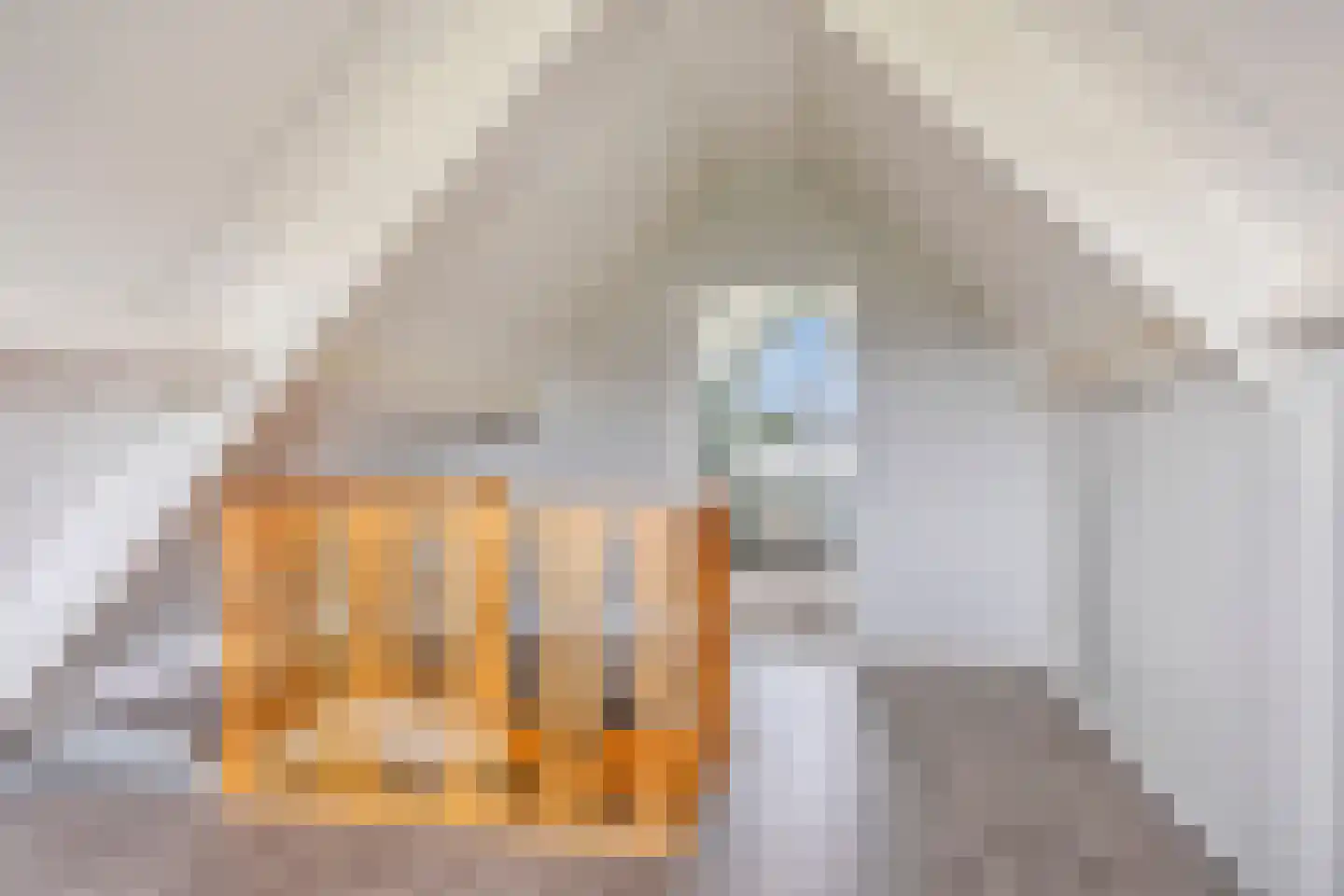 De Hilde 27 Nijeveen thumbnail 39