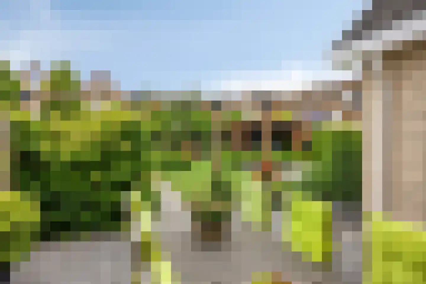 De Hilde 27 Nijeveen thumbnail 43