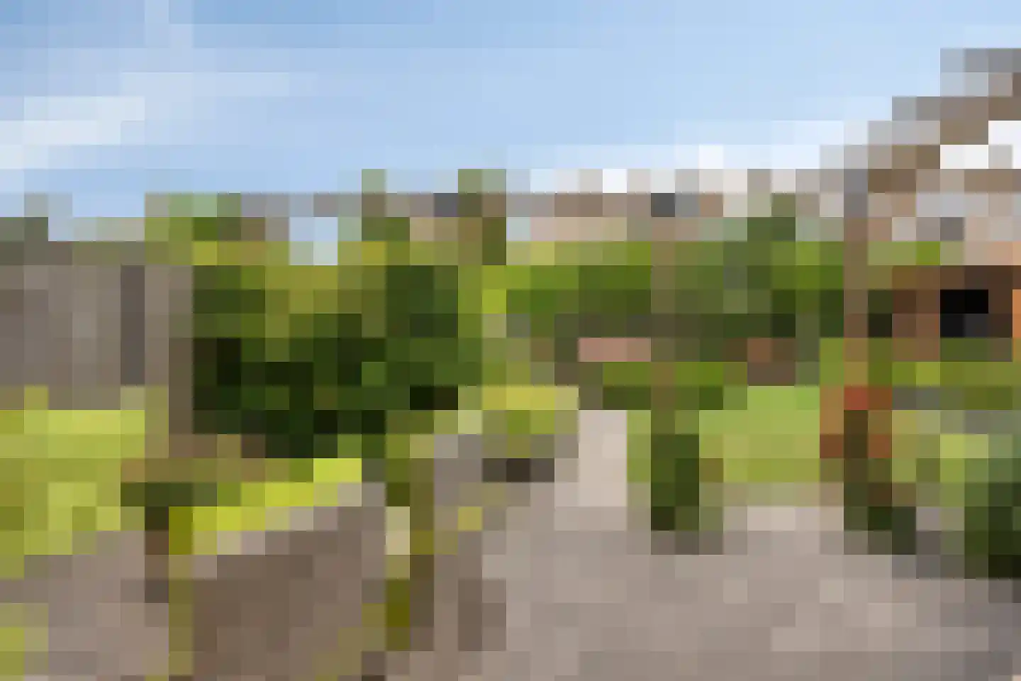 De Hilde 27 Nijeveen thumbnail 46
