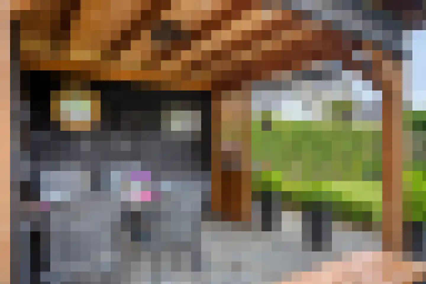 De Hilde 27 Nijeveen thumbnail 49