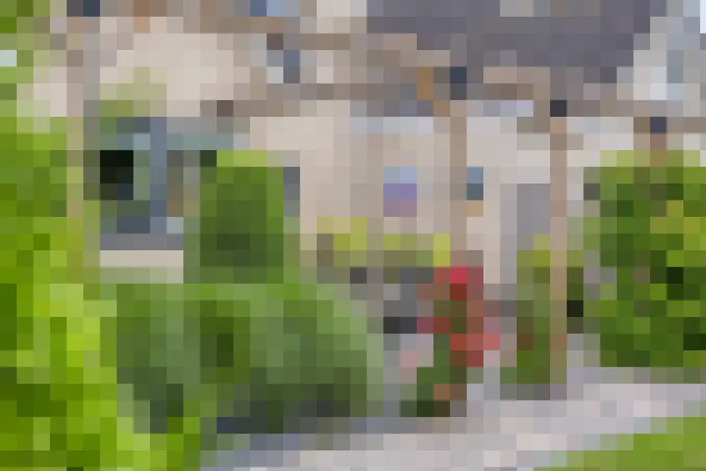 De Hilde 27 Nijeveen thumbnail 58