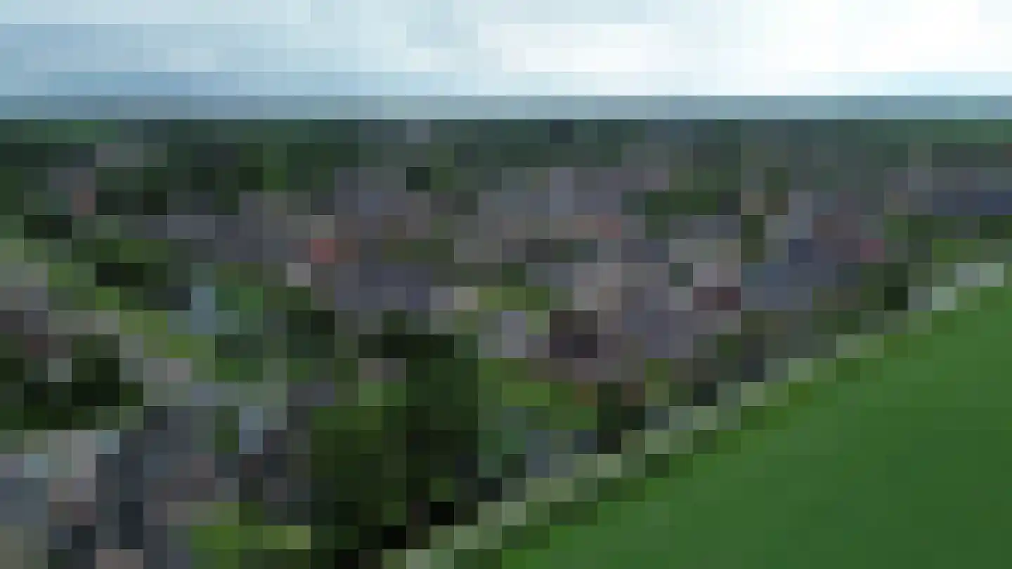 De Hilde 27 Nijeveen thumbnail 67