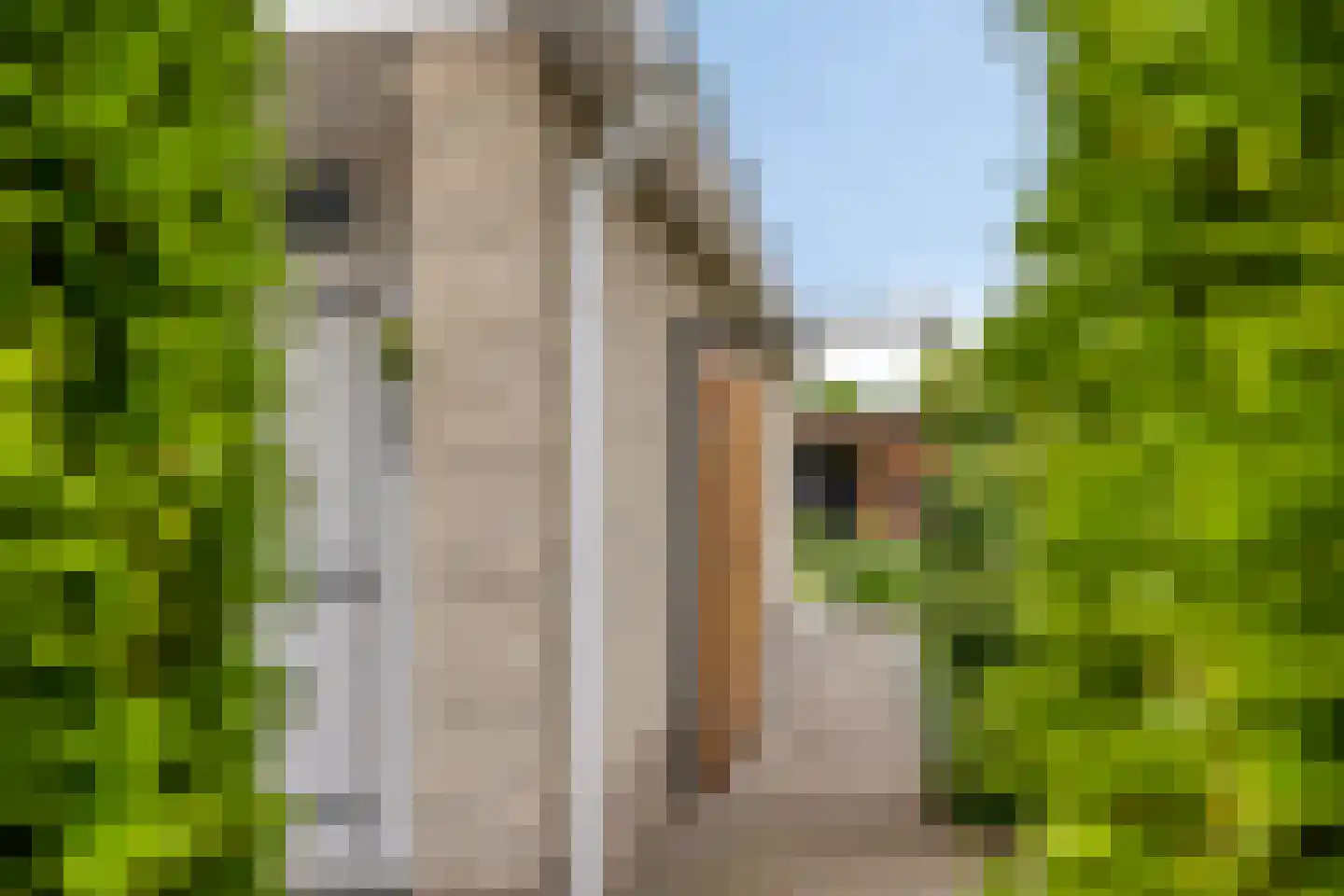 De Hilde 27 Nijeveen thumbnail 7