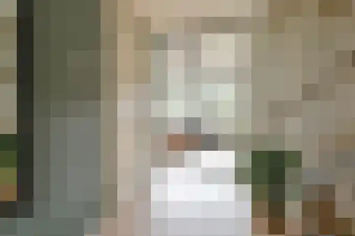 De Hilde 34 Borger thumbnail 12