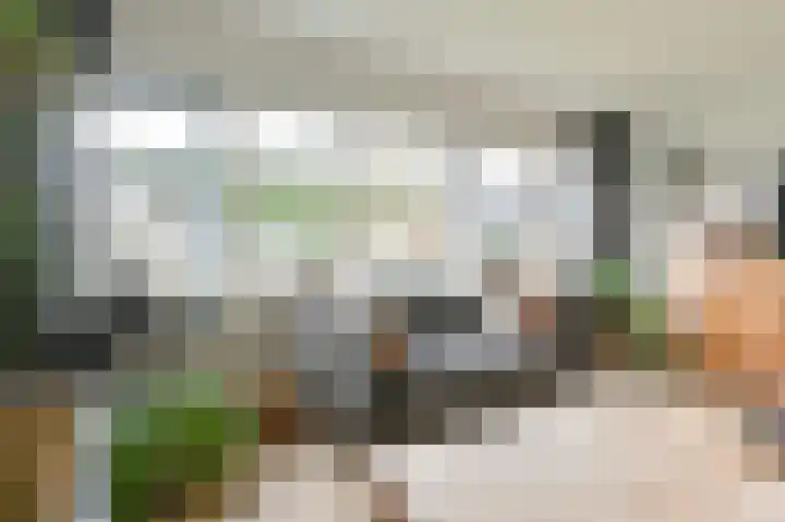 De Hilde 34 Borger thumbnail 16