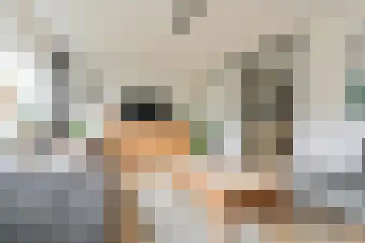 De Hilde 34 Borger thumbnail 17
