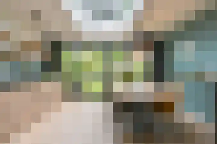 De Hilde 34 Borger thumbnail 21