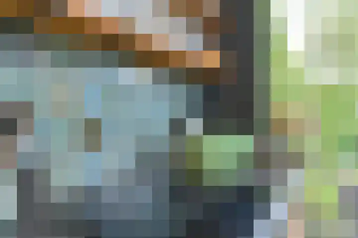 De Hilde 34 Borger thumbnail 25