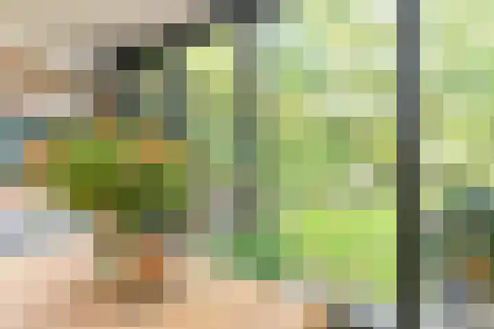De Hilde 34 Borger thumbnail 28
