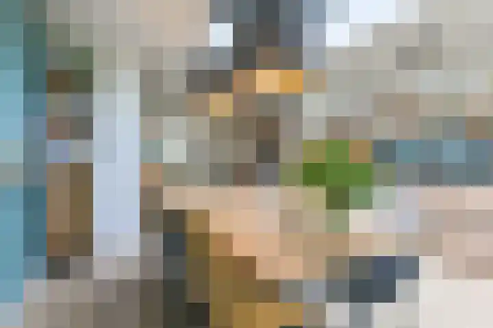De Hilde 34 Borger thumbnail 30