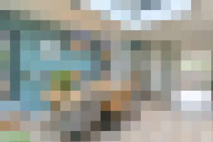 De Hilde 34 Borger thumbnail 33