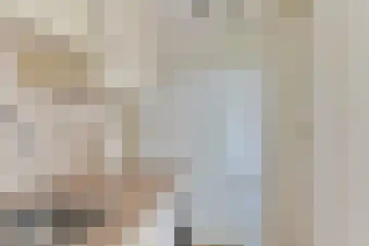 De Hilde 34 Borger thumbnail 35